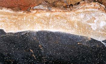 Mud on calcite on blue limestone[PSwart]